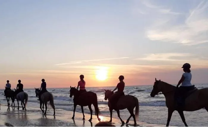 Jarzębinowy Zakątek * Kopalino